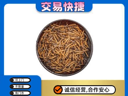 日照礼品回收虫草.jpg